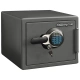 Огневодостойкий сейф SentrySafe SFW 082 GTC